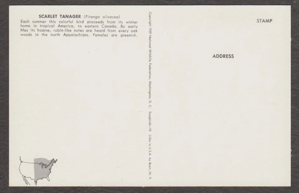 U.S. - TWO MINT BIRD POST CARDS - - Image 2 of 4