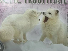 1 Polar Dollar Arctic fox 2012 Rare !  Unique!