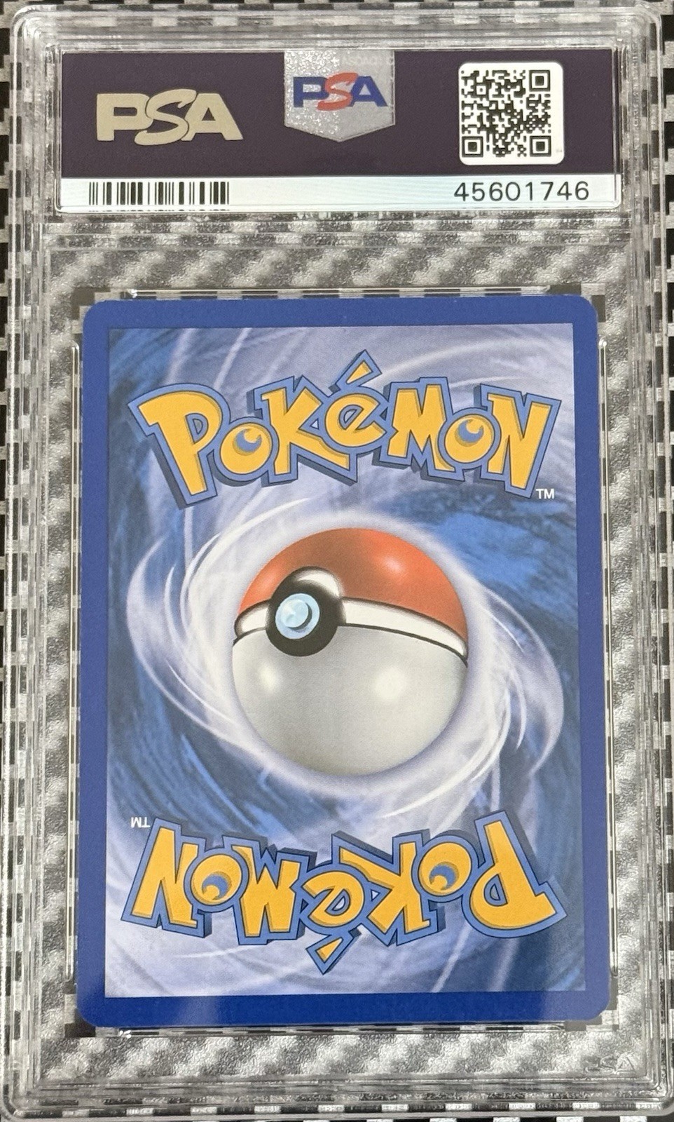 Picture 5 of 5