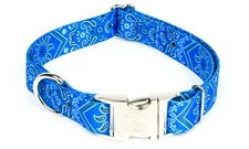 Country Brook Petz® Premium Blue Bandana Dog Collar