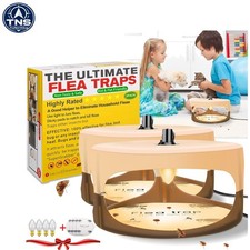 Stylish Indoor Flea Traps - Effective Pest Control with Adhesive Pads, 2 Pack