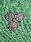1913 5c Type 1 &2 Buffalo Nickels Semi Key Date Nicer Coins