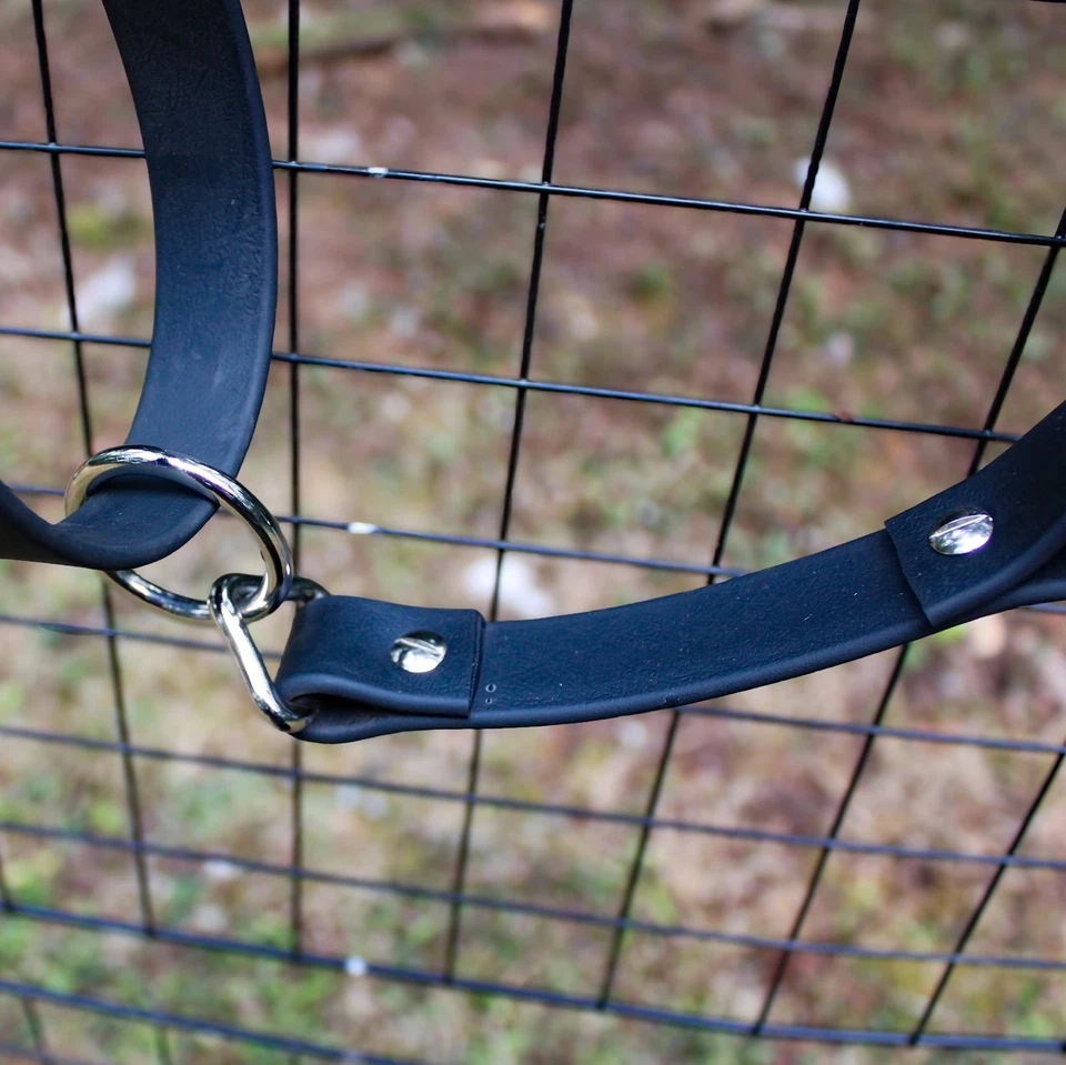 Halter de caballo de tiro Biothane con banda nasal de rosas arco iris Foto 3 de 4