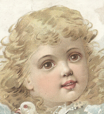BOSTON TRADE CARD, SLADES SPICES, BEAUTIFUL LITTLE GIRL WITH A WHITE  DOVE  F169