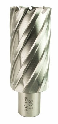 Steel Dragon Tools  1-1/4'' x 2'' HSS Annular Cutter with 3/4'' Weldon Shank