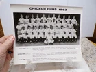 1962 Chicago Cubs Baseball Team Real Glossy Photo Ernie Banks-Santo-Williams ETC