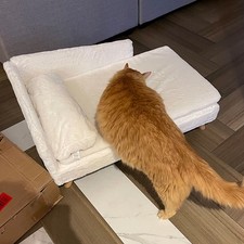 Fuzzy Cat Bed Elevated Comfortable Pet Sofa Couch Low-Back Lounger for Dogs Cats