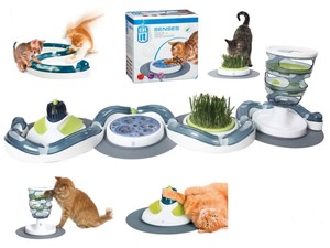 cat it senses play circuit