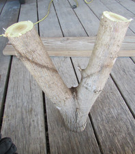 Wood Turning Log, 14" x 2 1/2" , blank/block.  Poplar  , Crafts Carving -green