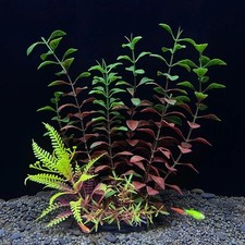 Artificial Aquarium Plants Fake Plastic Water Grass Fish Tank Plant Decor