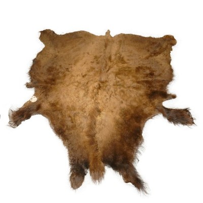 Glacier Wear First Quality Buffalo Bison Robe/Hide/Rug #1768