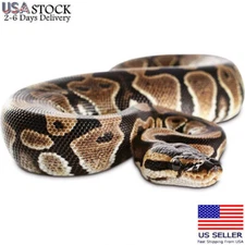 Garden Realistic Big Rubber Snake Lifelike Scary Prank Toy Joke Party Prop