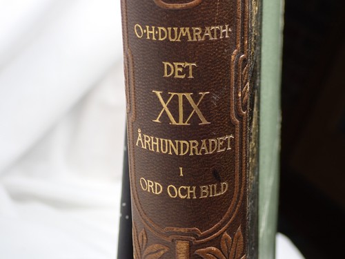 Very vintage book Det Nittonde Arhundradet O.H. Dumrath Ord Och Bild Dated 1899 - Picture 4 of 11