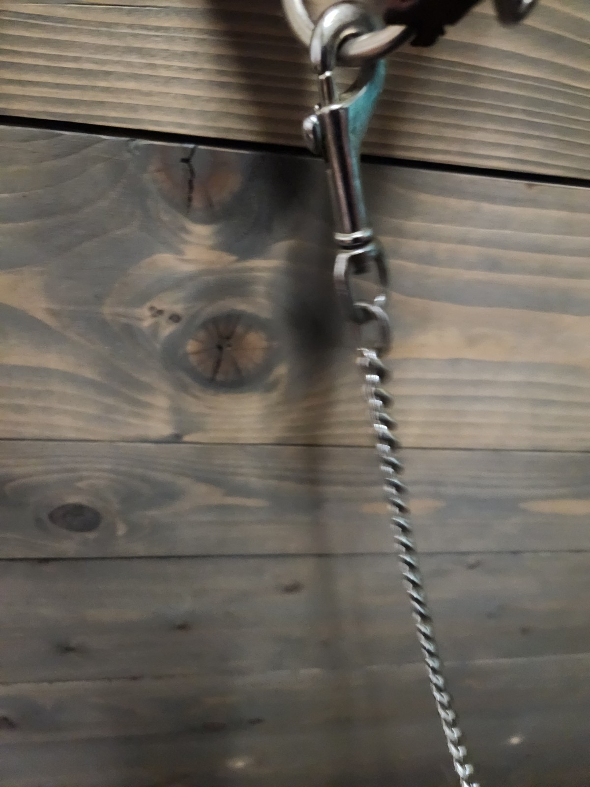 WESTERN SILVER SHOW HALTER YEARLING WITH LEAD