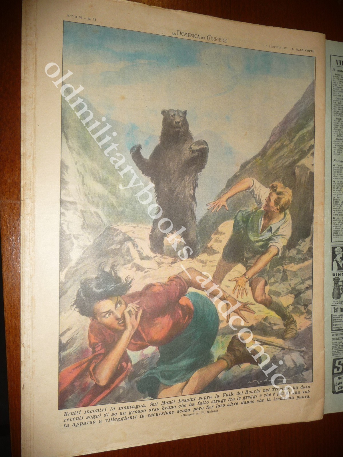 Bild 2 von 2