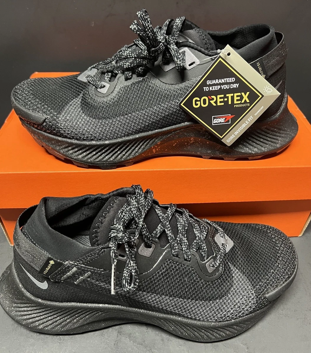 Size 11 Nike Pegasus Trail 2 GTX Black Metallic Gray Mens Sneakers CU2016-001 Buy Nike Pegasus Trail 2 GTX  main image 2