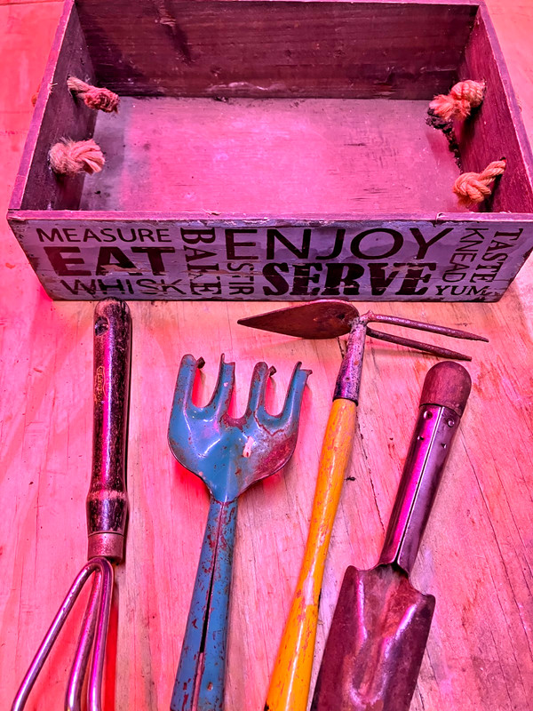 VTG Garden Tools 4 hand tools  and carrier