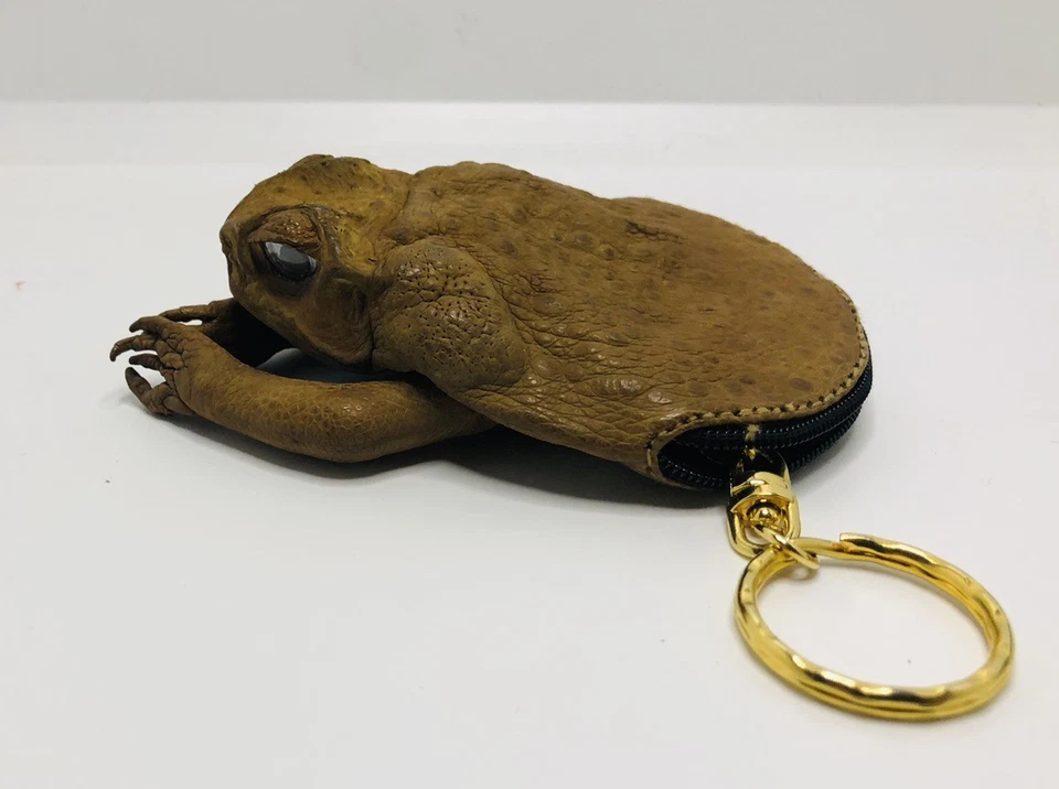 Monedero/llavero único en forma de rana 4x3 Foto 2 de 3
