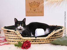 Cat Bed Handmade Natural Straw Woven House Sofa Pets Kitten Sleeping Cushion