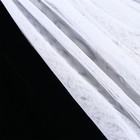 Foto 7 di 12