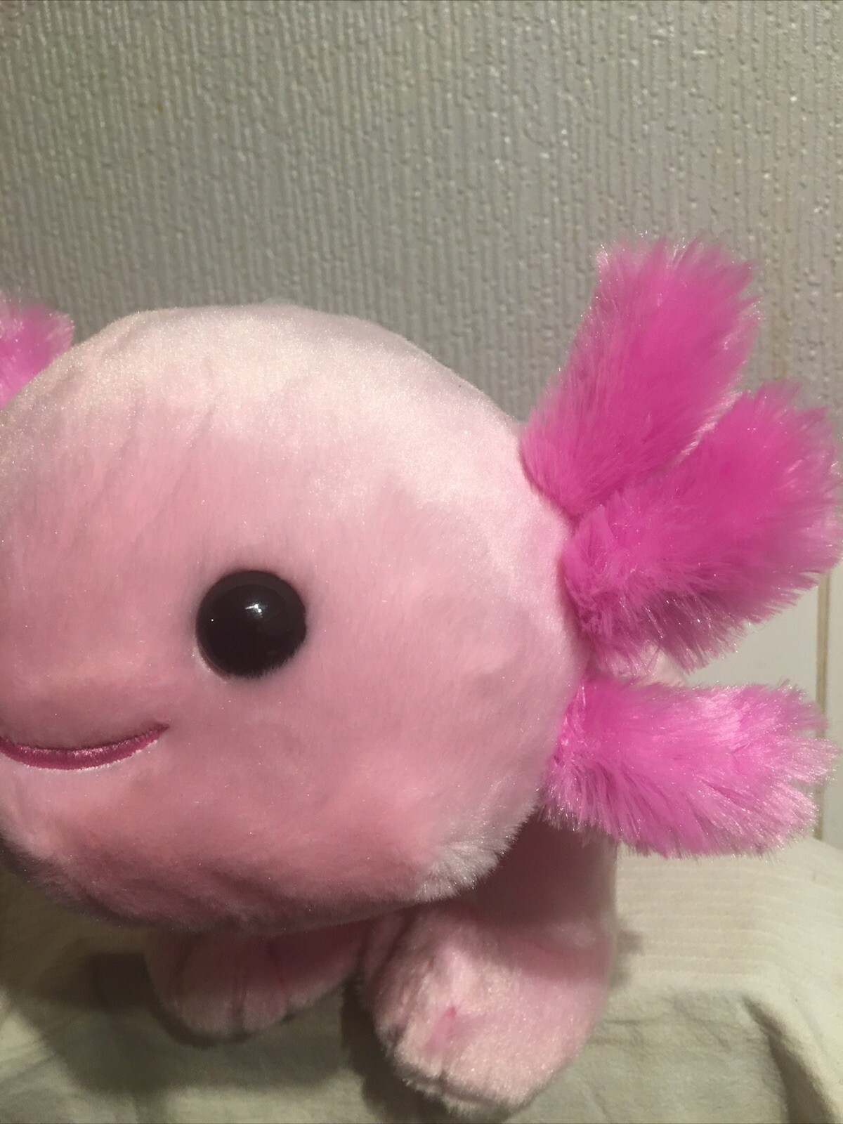 Picture 15 of 24