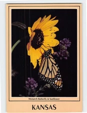 Postcard Monarch Butterfly & Sunflower Kansas