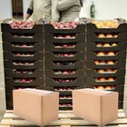 Bild 9 von 12