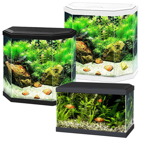 Ciano Aqua Aquarium 20 DEL 30 Hex Lighting Hotte Filtre débutant Fish Tank