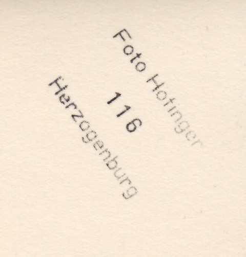 NATÜRLICHE NACKTE ÖSTERREICHERIN * Vintage 30s Foto-AK HÖFINGER Herzogenburg NÖ - Picture 4 of 4