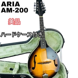Aria Mandolin | eBay