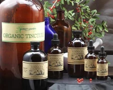 ECHINACEA & GOLDENSEAL Combined Herbs Cold ORGANIC FOLK REMEDY TINCTURE ~
