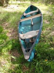 15 ft canoe with two seats, paddles and life jackets