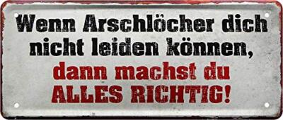 Blechschild Lustiger Spruch ''Wenn Arschlöcher Dich Nicht Leiden können'' Deko Ges
