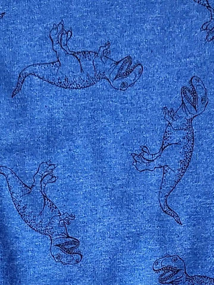 Sudadera de dinosaurio azul cuello redondo Arizona Boys Foto 2 de 2