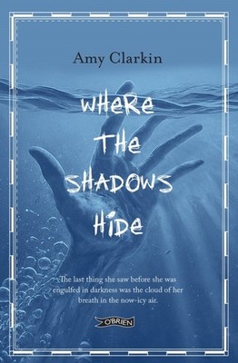 Where the Shadows Hide by Amy Clarkin (Paperback Book)