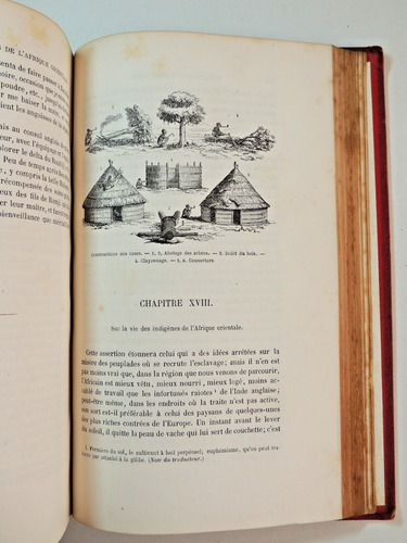 Capitaine Burton. Voyage aux grands lacs de l'Afrique Orientale. 1862. EO - Picture 11 of 11