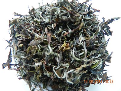 Castleton Tea Darjeeling Tee 2. Flush 2026 THURBU Klonale Moondrops 200 g