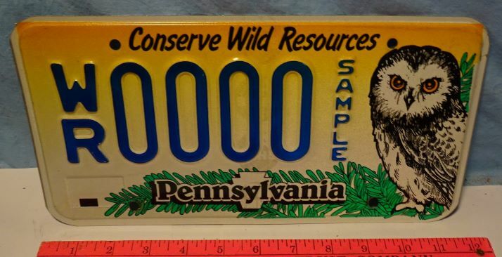 RARE - PA Pennsylvania - SAMPLE License Plate - OWL - Conserve