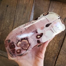 3lbs + Picture Stone Jasper Dendritic Dendrite Display Freeform 1660 Gram