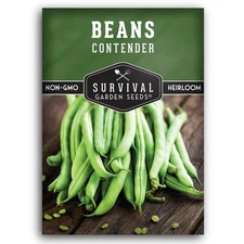 1 Pack Contender Bush Bean Seeds for Planting with Instructions to Grow Delic...