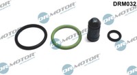 Dr.Motor Automotive Reparatursatz, Pumpe-DüSe-Einheit FüR Vw Passat B6 Golf V