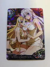 Sexy Group High School DxD Anime Doujin Waifu Art Card R05