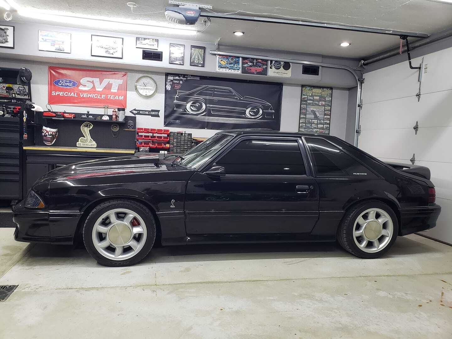 Picture 19 of 24