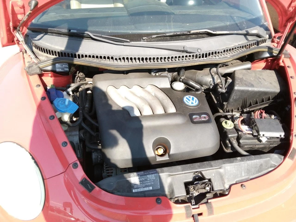 Used Deck Lid fits: 2000 Volkswagen Beetle w/spoiler Grade A Foto 2 de 4