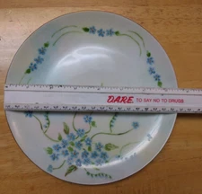 Vintage Plate, Hand Painted? L. Gillies, Unmarked, Flowers
