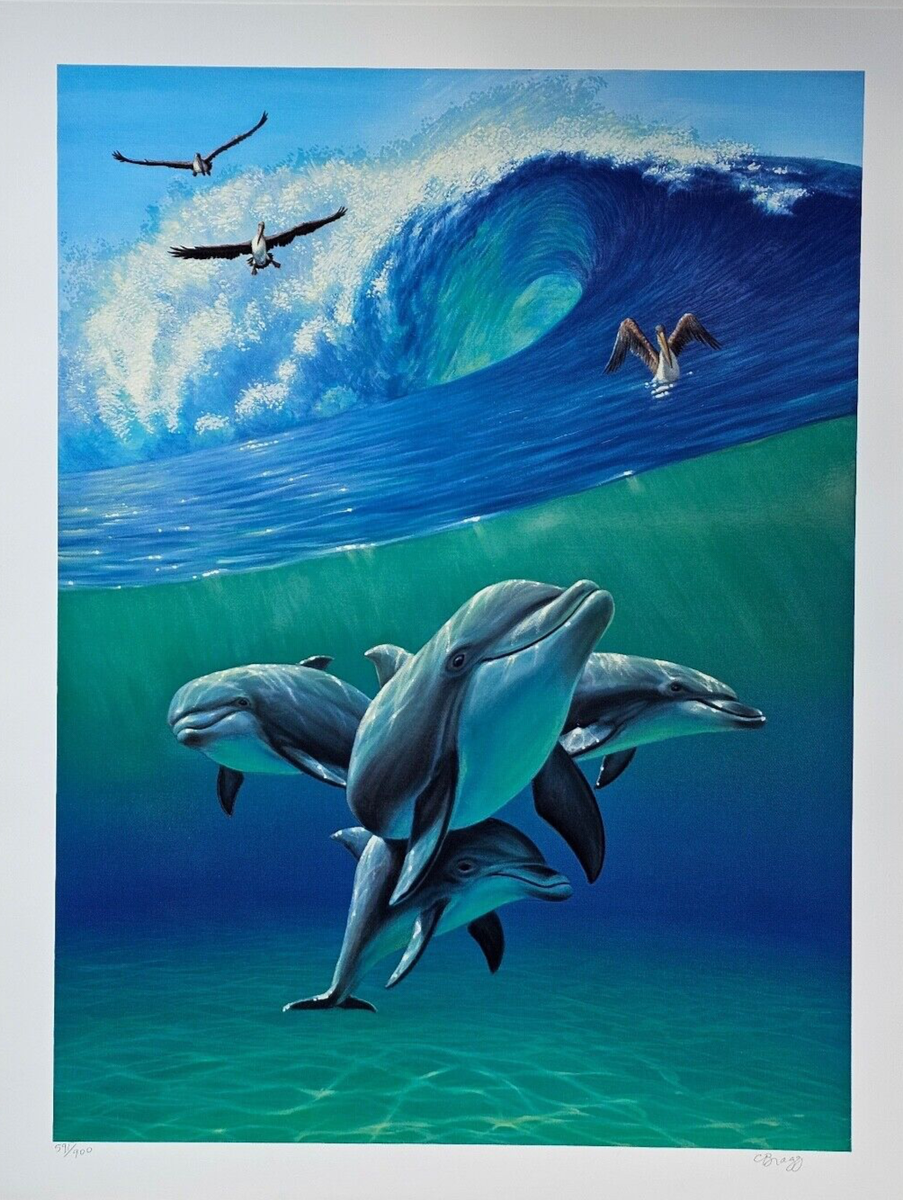 Dolphin Art Under the Waves 2 Dolphins Pelican hand signed #d