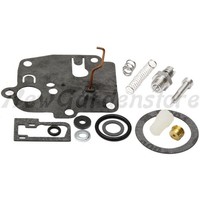 Dichtungssatz FüR RasenmäHertraktor Briggs & Stratton 494623