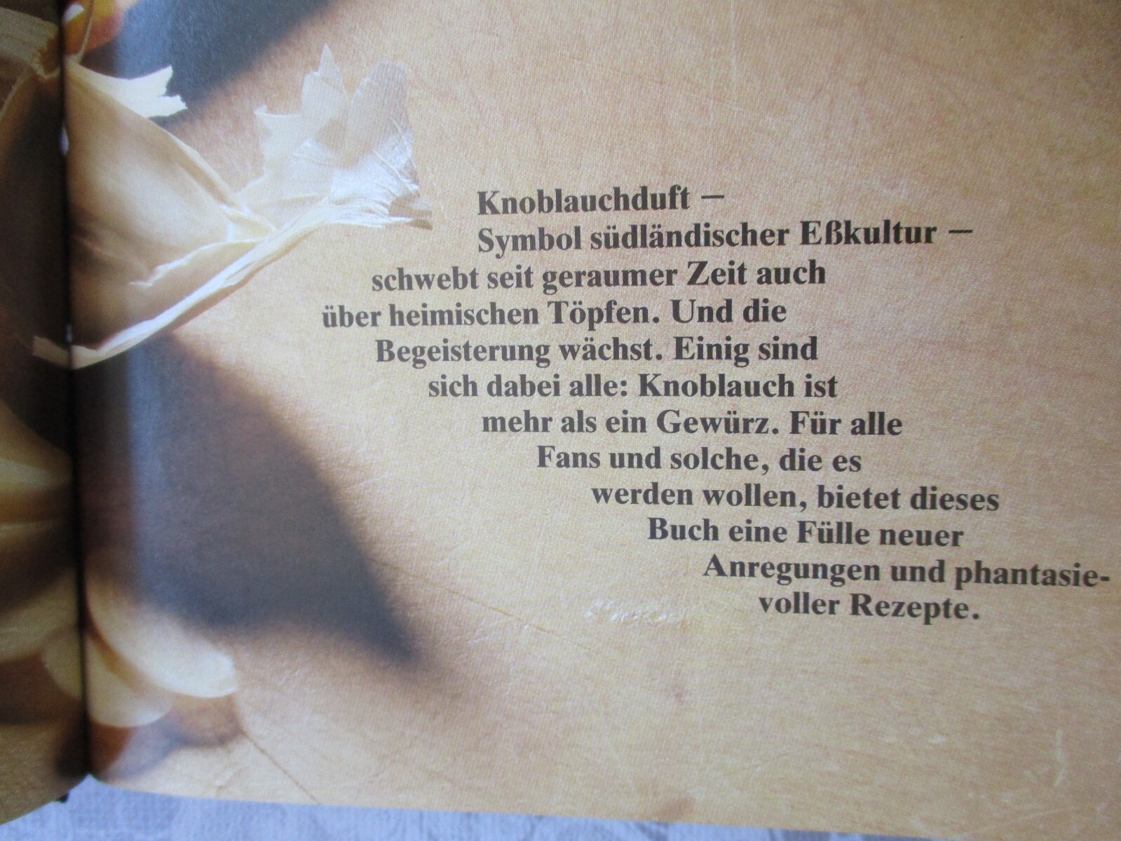 Bild 3 von 7