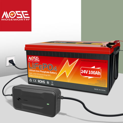 MOSEWORTH LifePo4 Akku 24V 100Ah Lithium Batterie BMS für Solar Marine Wohnmobil - Bild 1 von 12
