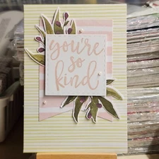 Stampin Up KINDNESS KIT * YOU'RE SO KIND * CARD KIT, Makes 5- Notecards- PRETTY!